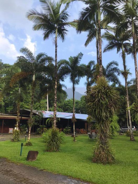 Daintree Siesta Villa Diwan Exteriör bild